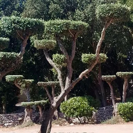 U Farniente Bonifacio (Corsica)