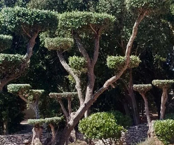 U Farniente Bonifacio (Corsica)